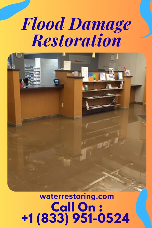 Flood Damage Restoration in Lenexa, KS