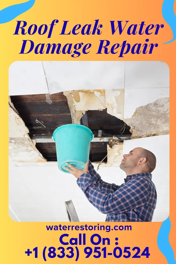 Roof Leak Water Damage Repair in Lenexa, KS